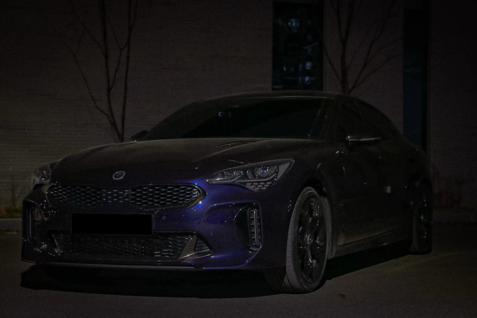 Kia Stinger GT 사진 2