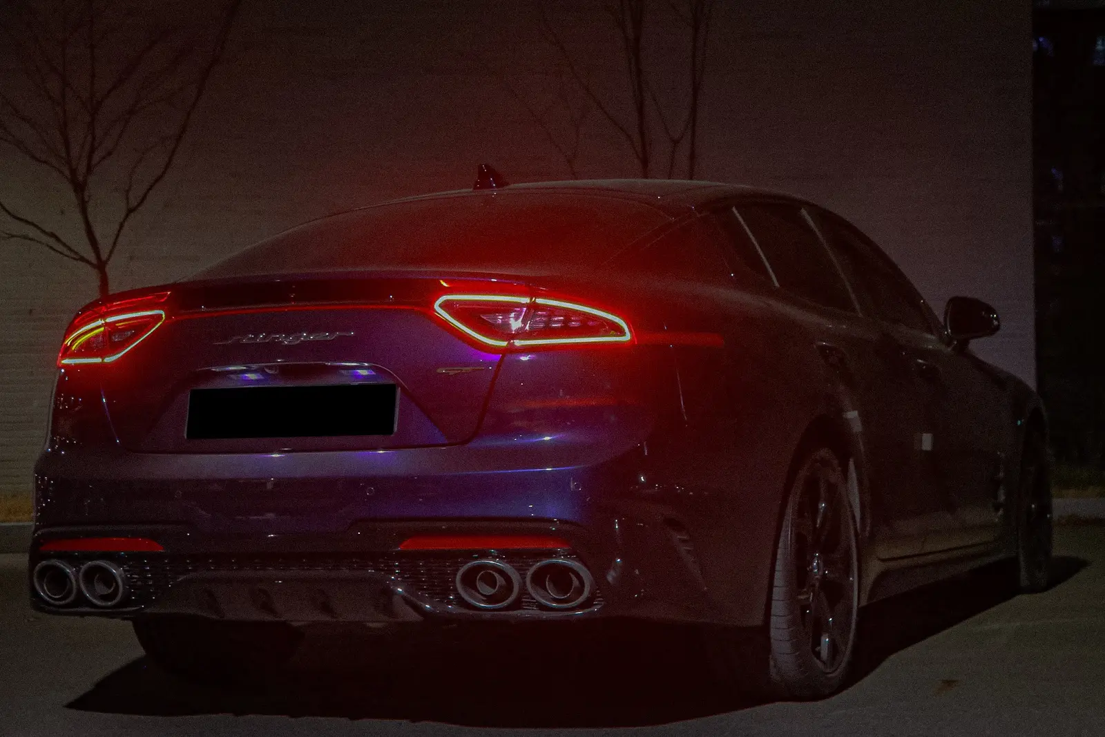 Kia Stinger GT 사진 3