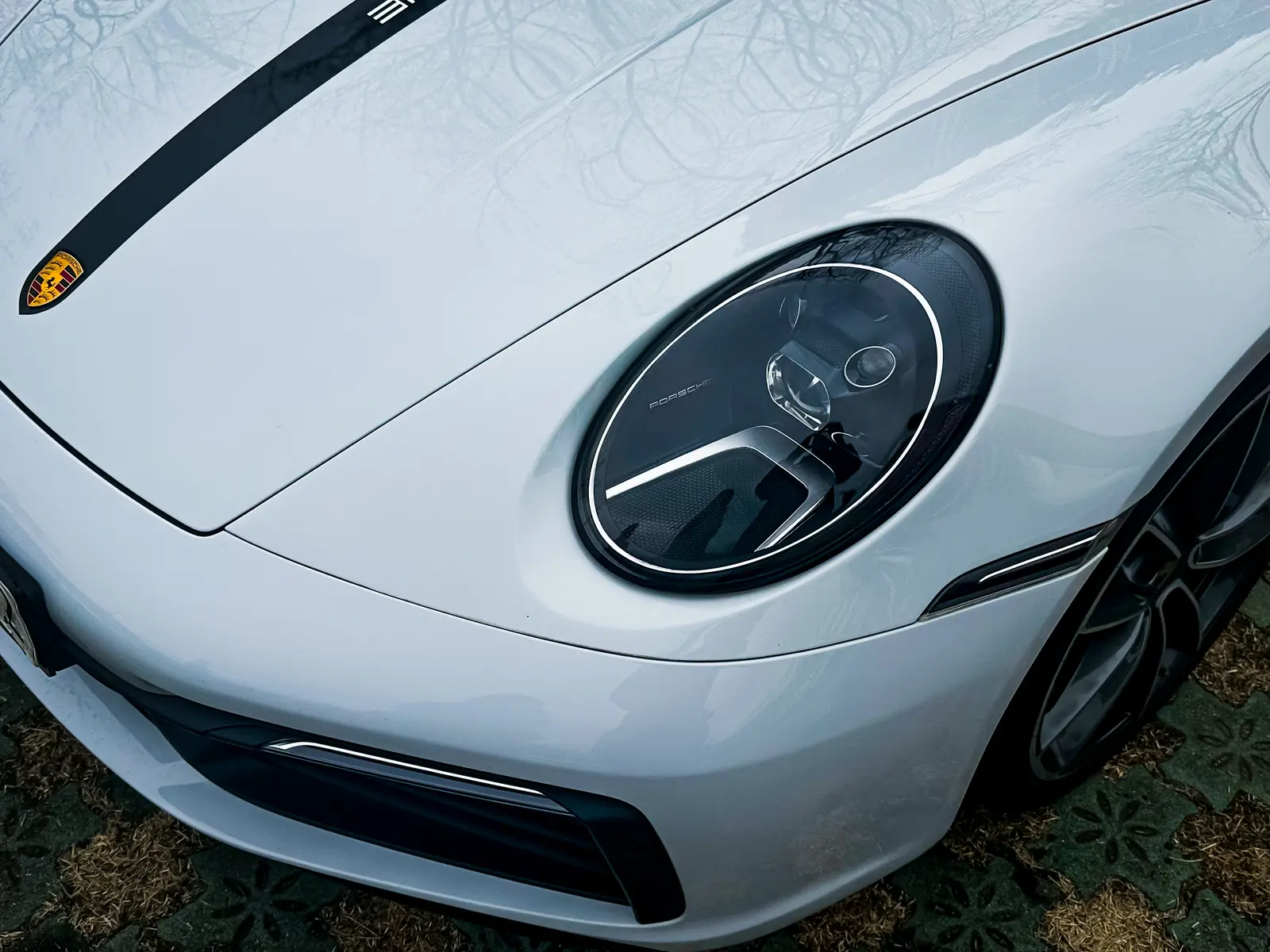 Porsche 911 Carrera 사진 2