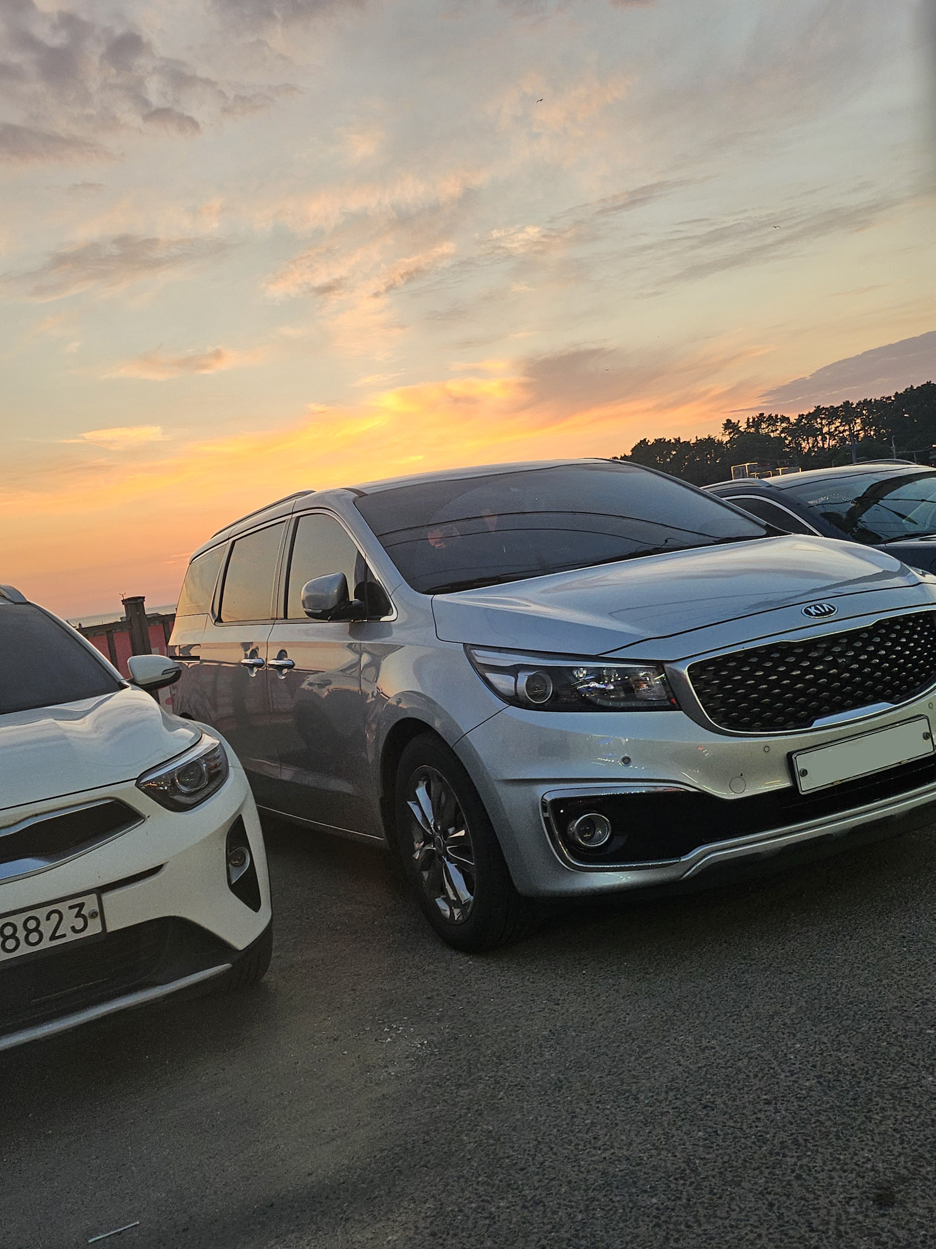 Kia Carnival SPOT 게시글 이미지