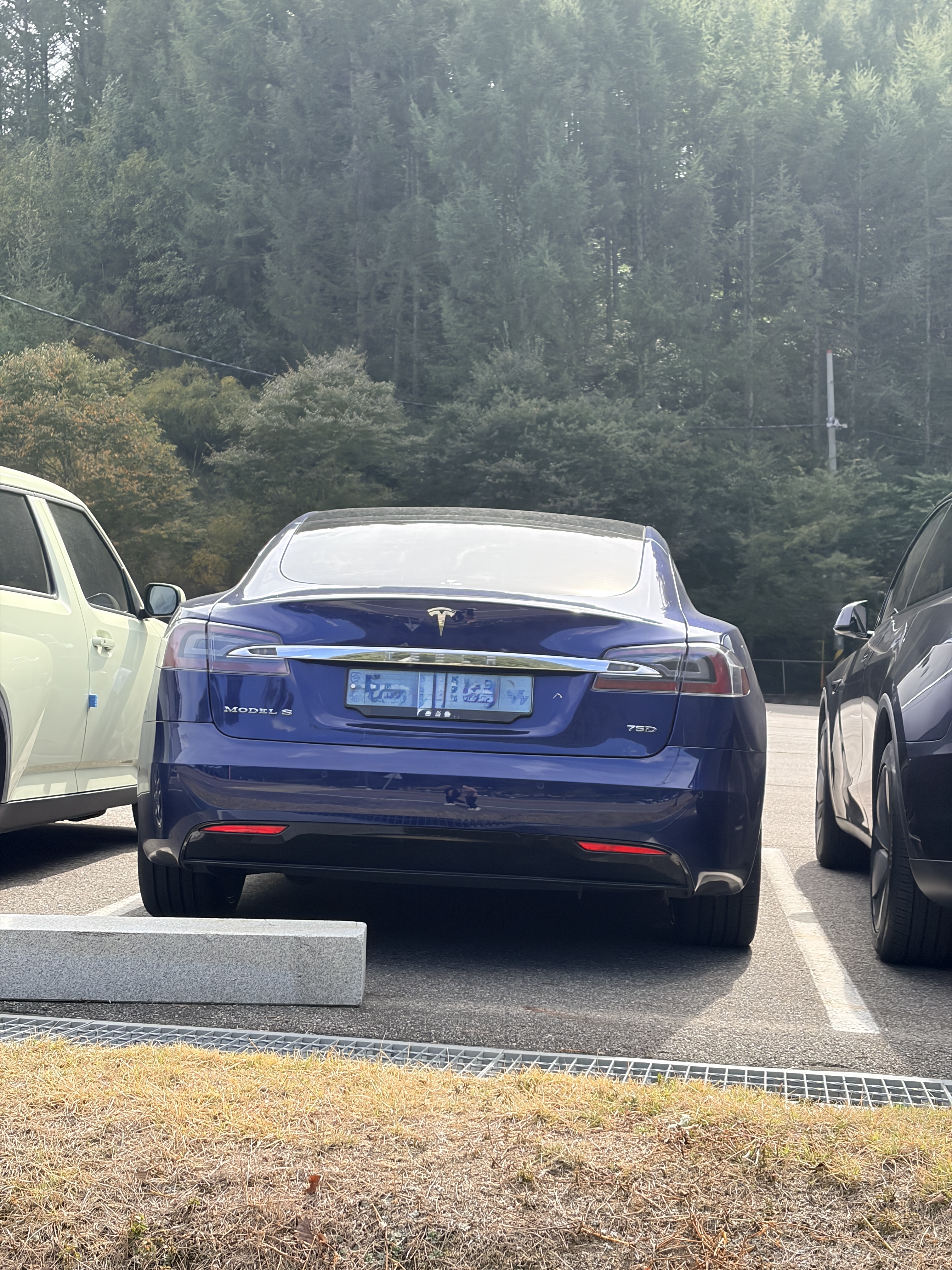Tesla Model S SPOT 대표 이미지