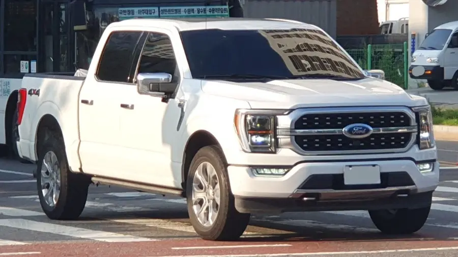 Ford F-150 사진 1