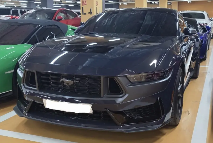 Ford Mustang Dark Horse 사진 1